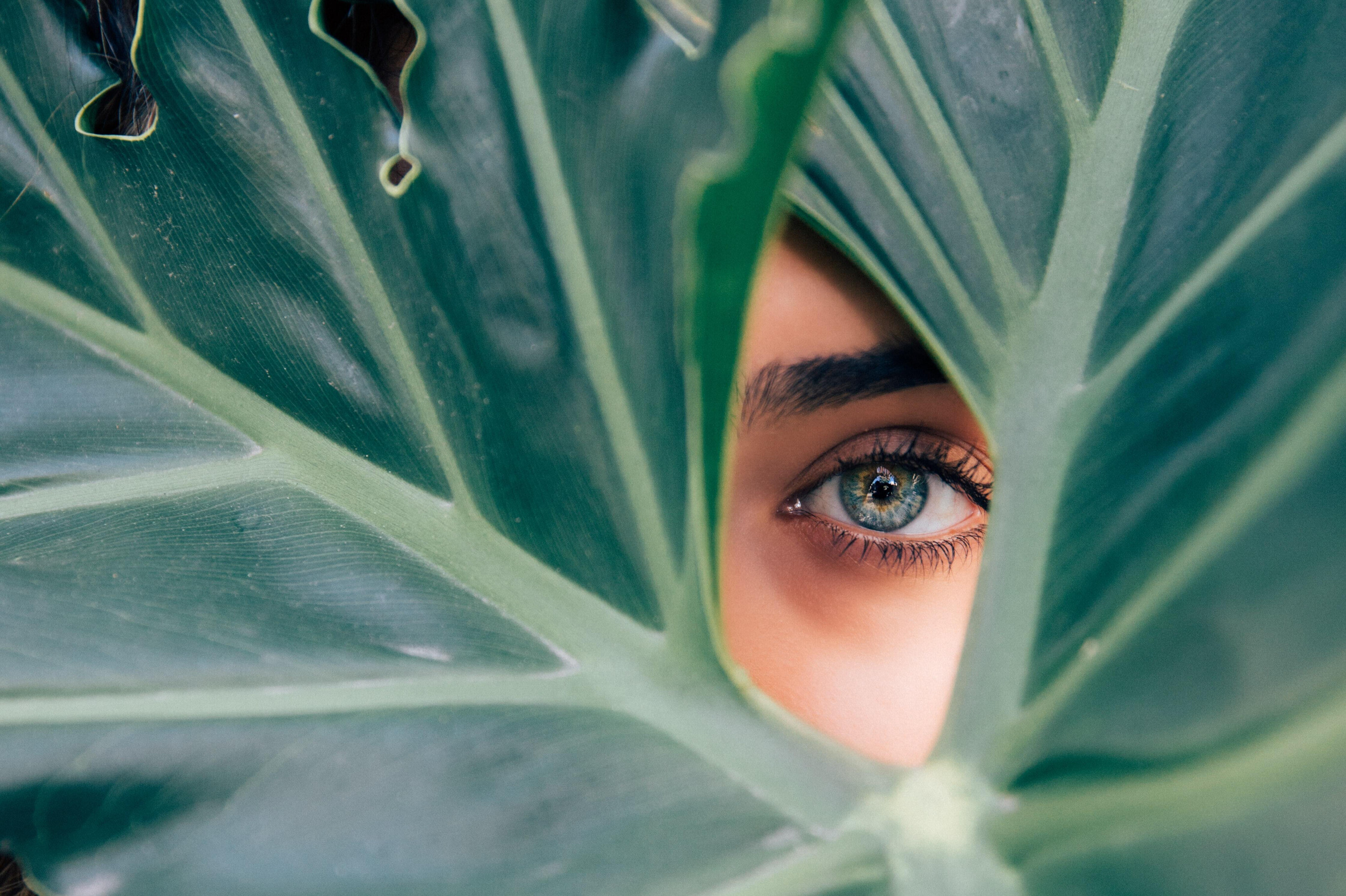 an eye through a leaf