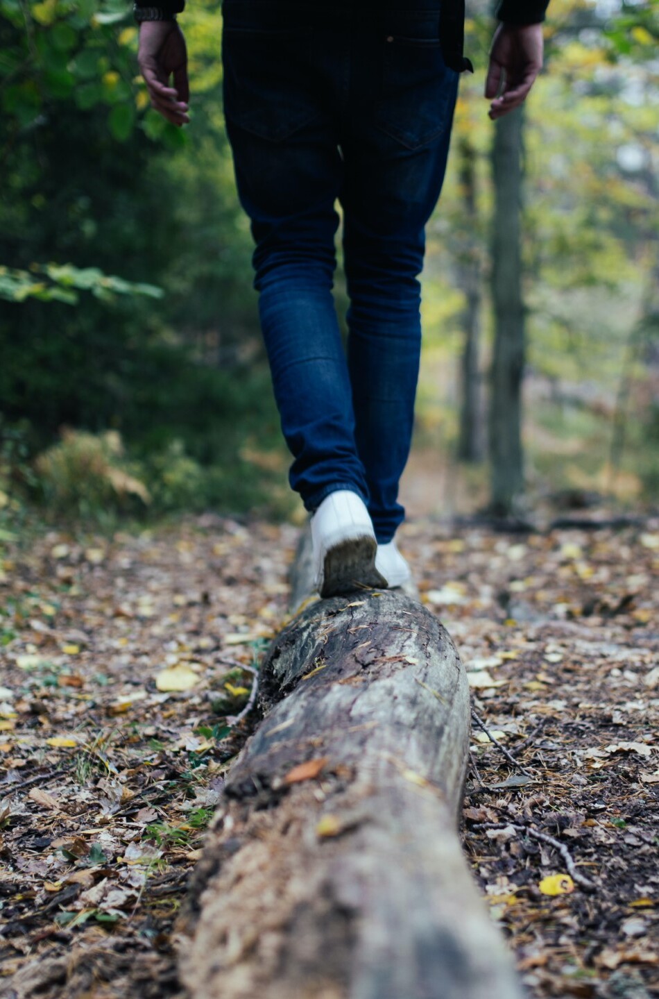 person walking on log